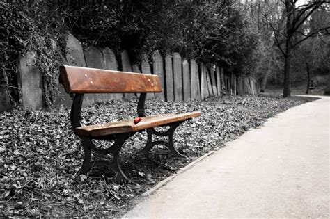 Bench in cemetery stock photo. Image of headstone, death - 8441358