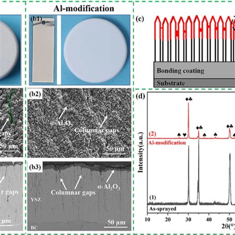 Surface And Cross Sectional Morphologies Of The Samples A B