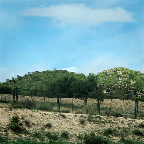 Sousse Travel Guide 2023 - Things to Do, What To Eat & Tips | Trip.com