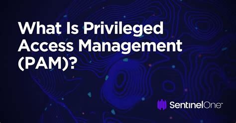 What Is Privileged Access Management Pam Sentinelone