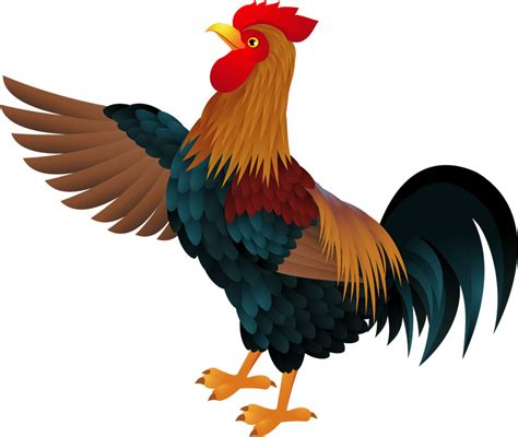 Vector Graphics Clip Art Image Rooster Rooster Png Download 800676