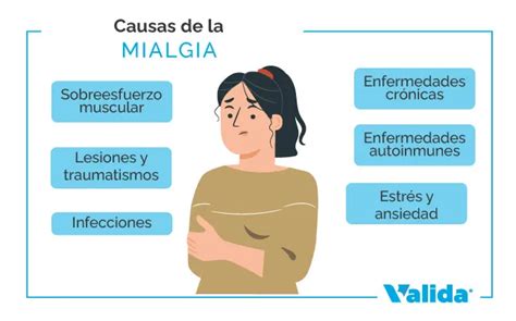 La Mialgia Qu Es Y Tratamiento Valida