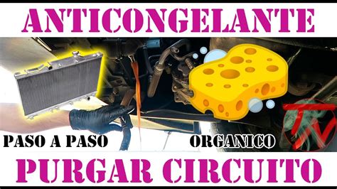 Como Limpiar Y Purgar Circuito De Refrigeracion Radiador Coche Youtube