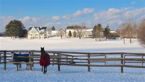 Stoneleigh-Burnham School - BoardingSchools.com