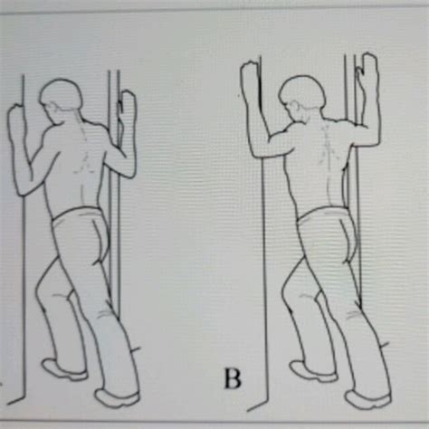 Doorway Pec Stretch by Susan H. - Exercise How-to - Skimble