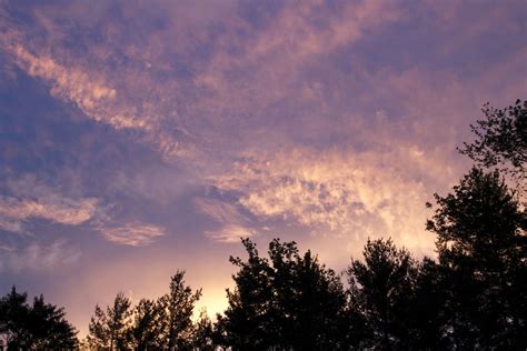 Free picture: purple sky, clouds, landscape, clouds, sunset, trees