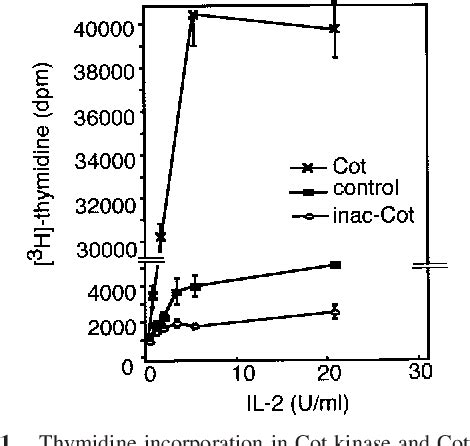 Figure From P Kif Protein Levels And E F Activity Are Targets Of Cot