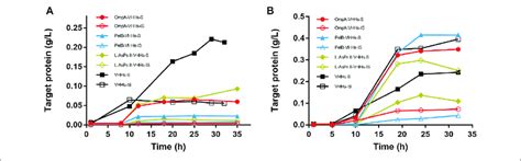 The Expression Of Anti Gfp Vhhs With Different Sps Via Auto Induction