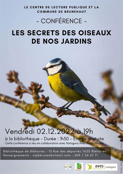 Les Secrets Des Oiseaux De Nos Jardins Natagora