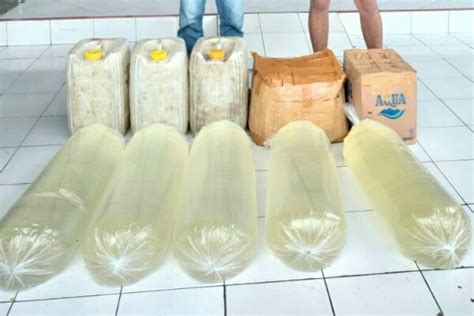 Tribrata Polsek Matuari Amankan Ratusan Liter Captikus Di Girian Bawah