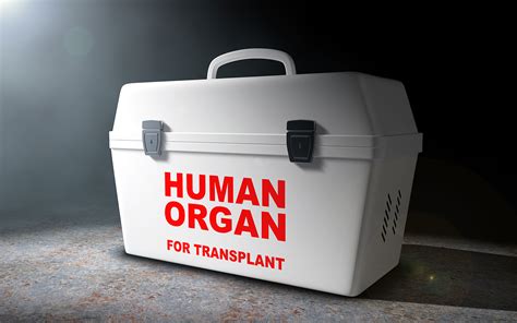 Transplant Tourism Survey Shows Under Reporting Need For Education