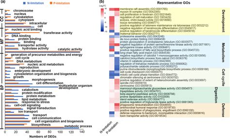 Gene Ontology Go Enrichment Of Degs A Go Terms Enriched At A High