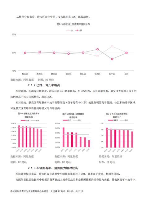 Dt财经：2018上海静安青年消费行为及消费升级趋势研究报告pdf 先导研报