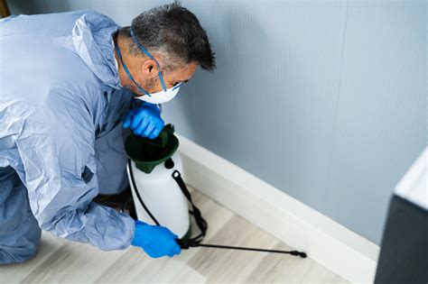 Things You Must Consider Before Hiring The Best Pest Control Agency