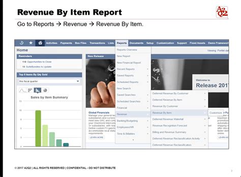 NetSuite Revenue By Item Report