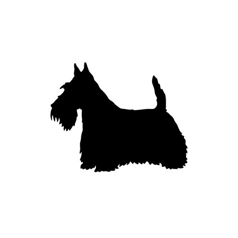 Scottish Terrier West Highland White Terrier Border Terrier Soft-coated ...