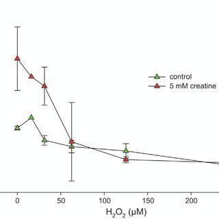 Effect of creatine on intracellular ATP/Phosphocreatine content in ...