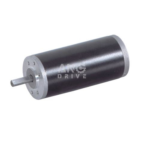 Custom High Power Torque 24V 100W BLDC Brushless DC Motor 3000rpm Motor