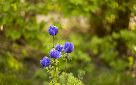 Enjoying Nature Max Lak Flickr