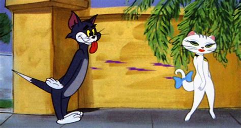 Top 20 funny tom and jerry pics - ONLINE NEWS ICON