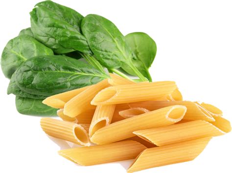 Download Penne Pasta Penne Png Png Image With No Background