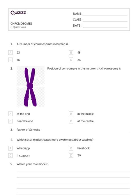 50 Chromosome Structure And Numbers Worksheets For 12th Class On