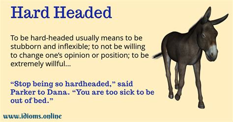 Hard-Headed | Idioms Online