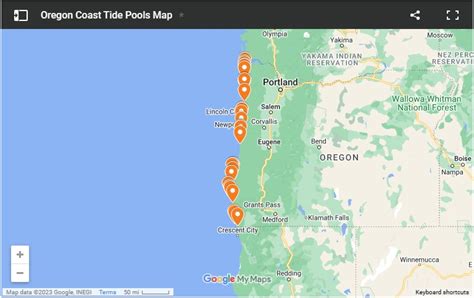 Oregon Coast Tide Pools Guide: The Best Spots to See Creatures