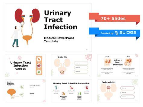 Download Urinary Tract Infections Powerpoint Template Rxslides