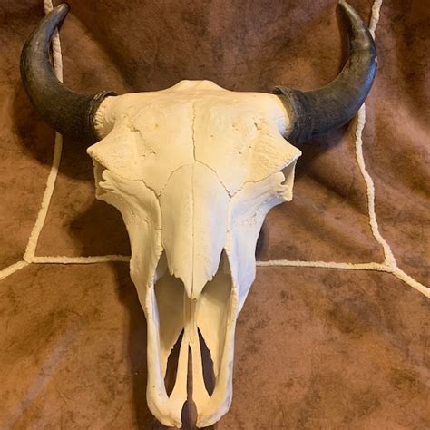 Bison Skull - Etsy