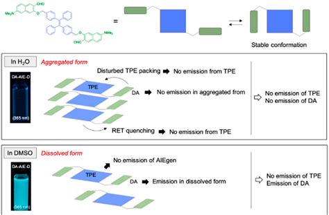 Figure 1 From Articulated Structures Of D A Type Dipolar Dye With