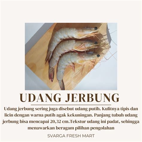 Jual Udang Jerbung Shopee Indonesia