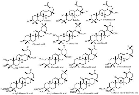 Molecules Free Full Text Pentacyclic Triterpene Bioavailability An