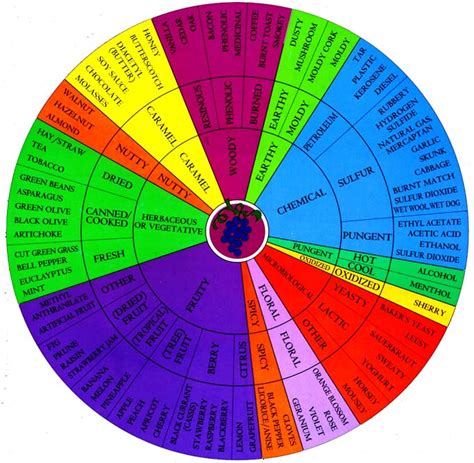 Wine Aroma Wheel from UC Davis