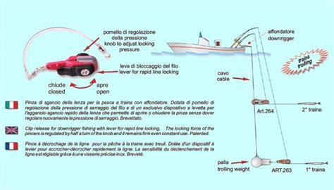 How To Use A Downrigger Setup Tips And Techniques To Master