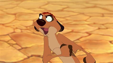 Timon Lion King Quotes. QuotesGram