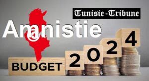 Amnistie fiscale relative à la Loi de finances 2024 Détails