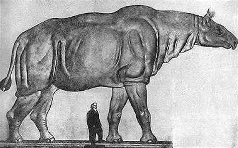 Top Ten Biggest Animals That Are Extinct