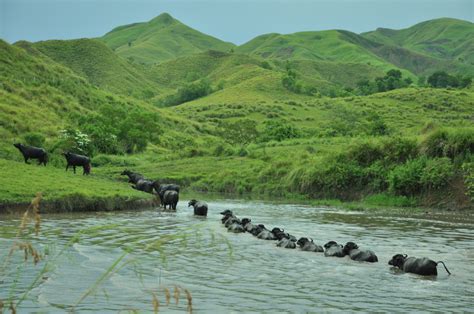 Places to go in Ubay – Bohol – The Boholana