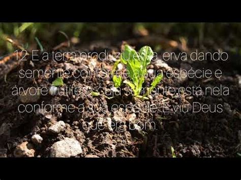 produza a terra erva verde - YouTube