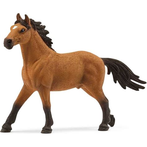 Mustang Brothel Prices 5