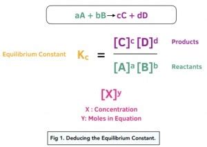 Chapter Reaction Rates And Equilibrium Flashcards Quizlet