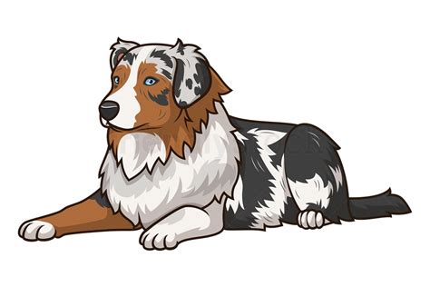 Australian Shepherd Lying Down Cartoon Clipart Vector Friendlystock