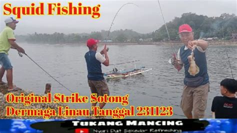 Original Strike Sotong Dermaga Linau Tanggal