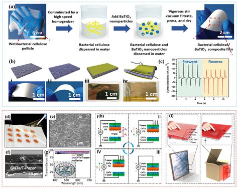 华南理工大学彭新文教授团队Adv Funct Mater 纳米纤维素衍生柔性功能材料 中国聚合物网科教新闻