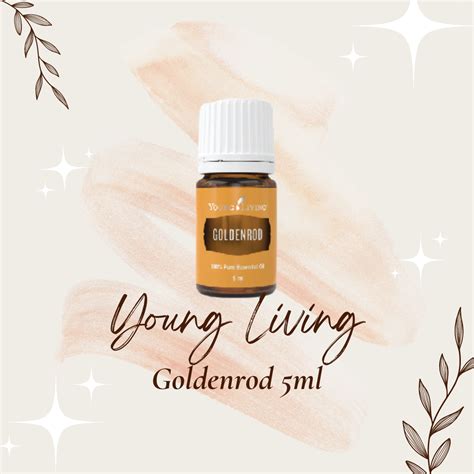 Young Living Goldenrod Essential Oil 5ml Lazada