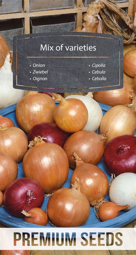 Onion - mix of varieties - PremiumSeeds – producer of seeds