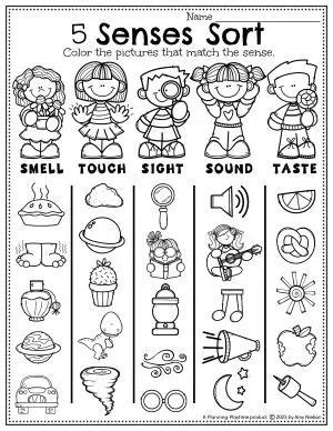 Senses Activities Planning Playtime Senses Preschool Senses