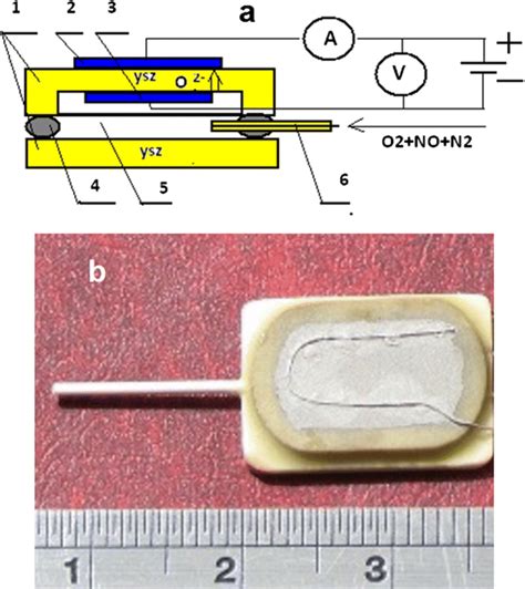 A Schematic View Of The Amperometric Sensor 1 Solid Electrolyte 2