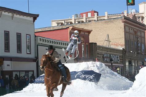 Fast & Flurrious: Horse Skijoring Equipment Explained - Horse Rookie